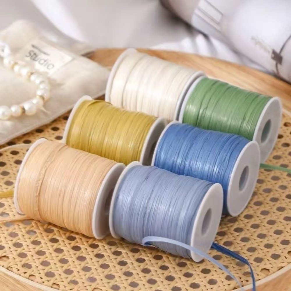 Premium Quality 120M Per Roll  - Crochet Bag Raffia recension och pris